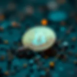 Conceptual representation of ontology related to cryptocurrency