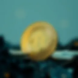 Conceptual representation of Raca Coin