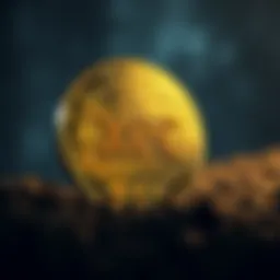 The conceptual design of xeC coin representing its digital nature